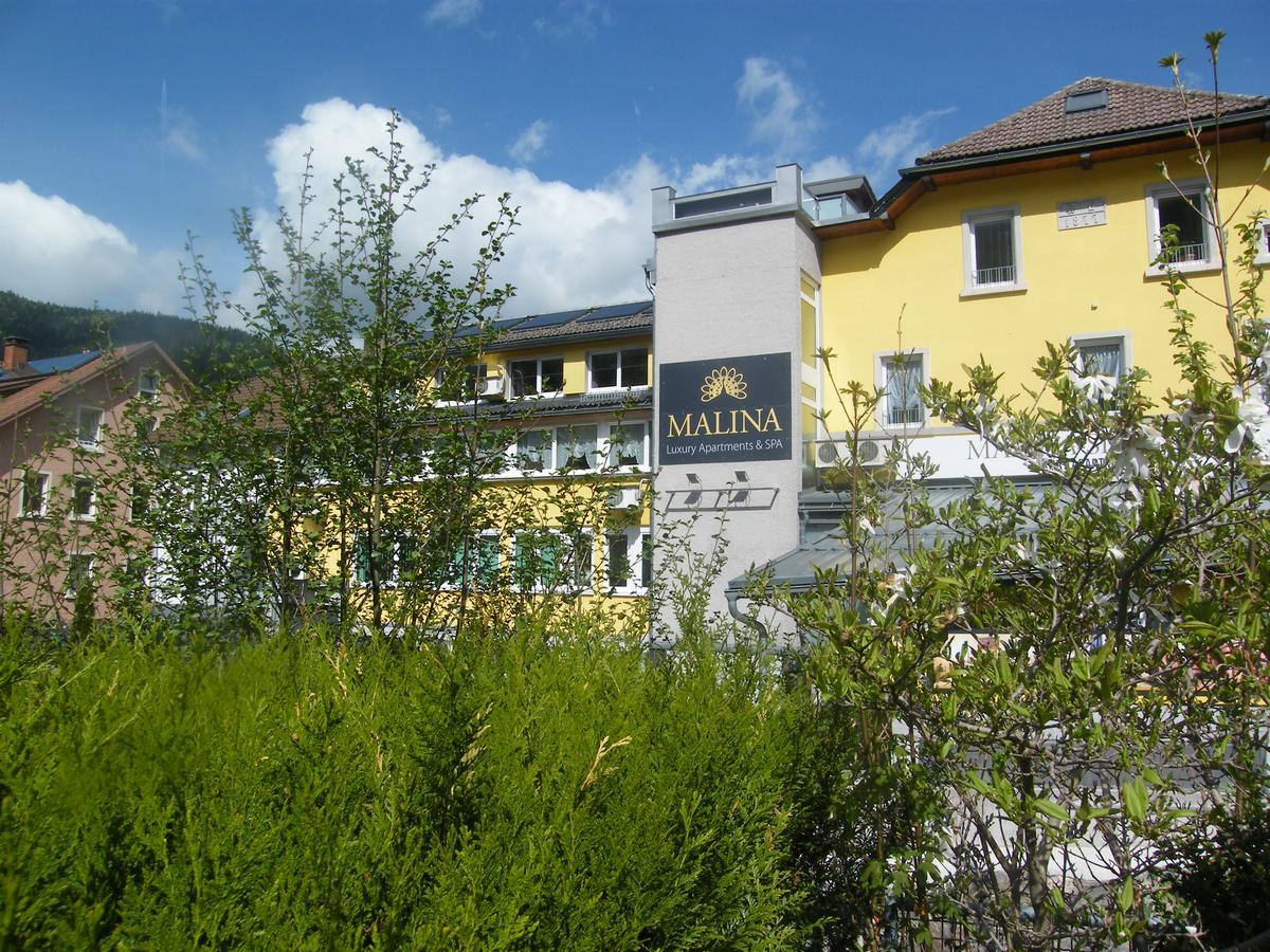 Malina Luxury Apartments And Spa Todtnau Exterior photo